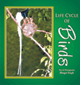 Life Cycle Of Birds