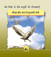 Desh-videsh Ke Jeev-jantuon Ki Lok-kathaen - Kauva Aur Baaj Me Dushmani Kyon