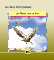 Desh-videsh Ke Jeev-jantuon Ki Lok-kathaen - Kauva Aur Baaj Me Dushmani Kyon(bangla)